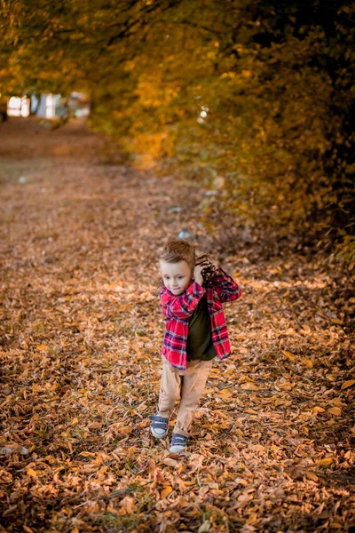 Μικρό Αγόρι Περπατά Στη Φύση Φθινόπωρο Ένα Νηπιαγωγείο Φθινόπωρο Πάρκο — Φωτογραφία Αρχείου
