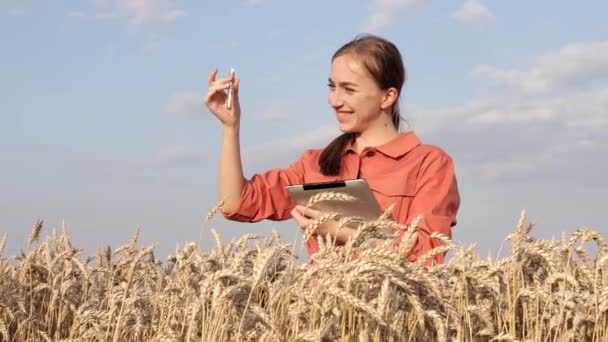 Agricultor Con Tableta Tubo Ensayo Que Investiga Planta Campo Trigo — Vídeos de Stock