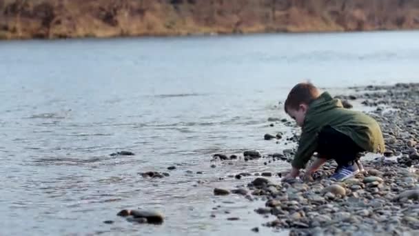 Zapisz Koncepcji Środowiska Mały Chłopiec Zbierając Śmieci Plastikowe Butelki Plaży — Wideo stockowe