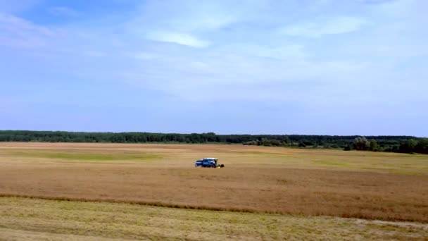 Weizenernte Sommer Zwei Erntehelfer Bei Der Feldarbeit Mähdrescher Landwirtschaftliche Maschine — Stockvideo