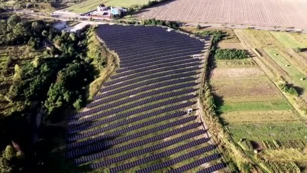 Elektrownia Słoneczna Green Field Słoneczny Dzień Widok Lotu Ptaka Panele — Wideo stockowe