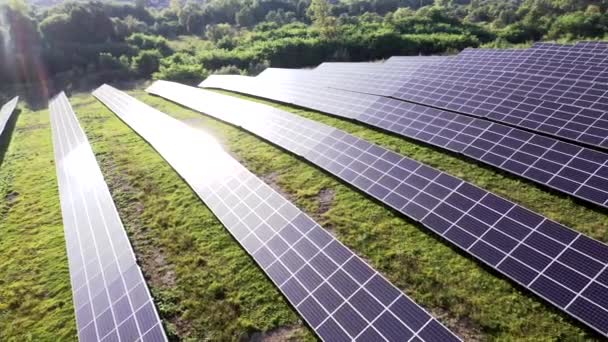 Central Solar Green Field Día Soleado Vista Aérea Paneles Solares — Vídeo de stock