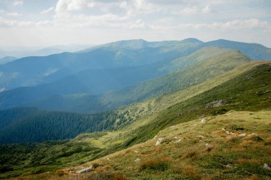 Karpatlar 'ın yaz sabahı dağlık arazisi. Vahşi bakire Ukrayna doğasının güzelliği. Huzur.