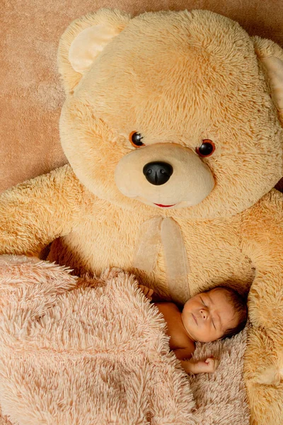 Duas Semanas Idade Bebê Recém Nascido Dormindo Ursinho Pelúcia — Fotografia de Stock