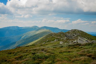 Karpatlar 'ın yaz sabahı dağlık arazisi. Vahşi bakire Ukrayna doğasının güzelliği. Huzur.