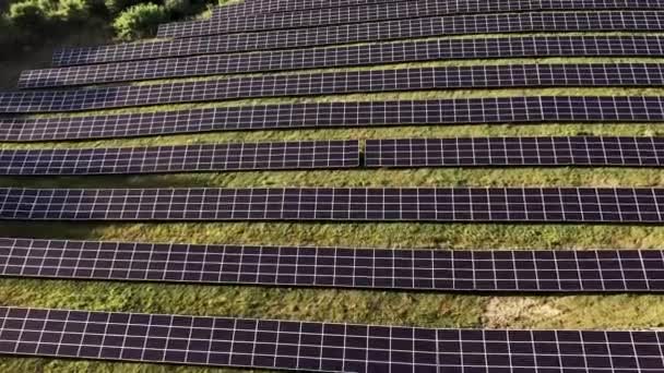 Luftaufnahme Des Solarkraftwerks Luftaufnahme Des Solarparks Mit Sonnenlicht Erneuerbare Energien — Stockvideo