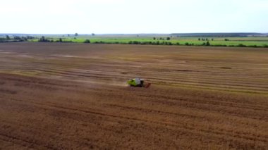 Yazın buğday hasadı. Tarlada çalışan iki hasat işçisi. Hasat makinesini tarlada yetişmiş altın buğday toplamak için birleştirin. Yukarıdan görüntüle