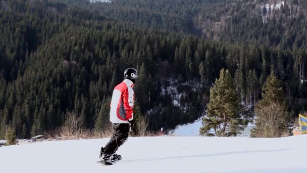 Mladý Dospělý Rekreační Lyžař Chladné Zimě Idylické Dokonalé Počasí Lyžování — Stock video