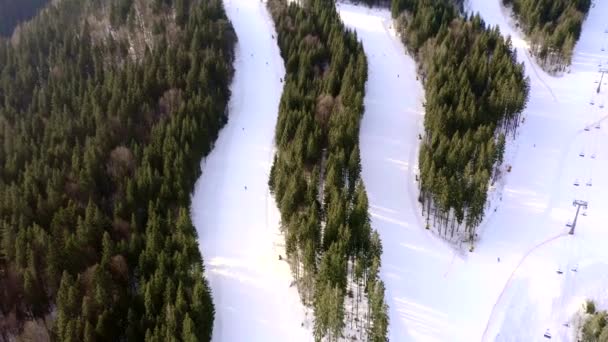 Беспилотный Полет Над Группой Людей Катающихся Лыжах Горнолыжном Курорте Зимний — стоковое видео