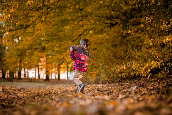 Kleine Jongen Wandelt Natuur Herfst Een Kleuter Herfst Park Gele — Stockfoto