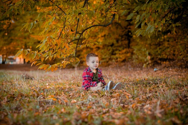 Маленький Мальчик Гуляет Природе Осенью Дошкольник Осеннем Парке Желтых Листьях — стоковое фото