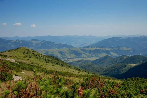 Sabah güneşli bir gün dağ manzarasında. Carpathian, Ukrayna, Avrupa. Güzellik dünyası. Büyük çözünürlük.