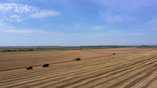 夏に小麦を収穫する 畑で働いている2人の収穫者 現場で黄金の熟した小麦を収集する収穫機を組み合わせる 上からの眺め — ストック動画