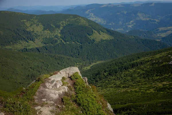 Ochtend Zonnige Dag Het Berglandschap Karpaten Oekraïne Europa Schoonheidswereld Grote — Stockfoto