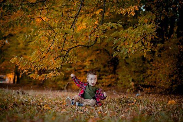 秋天的小男孩在大自然中漫步 秋天的公园里 小男孩在黄叶中漫步 — 图库照片