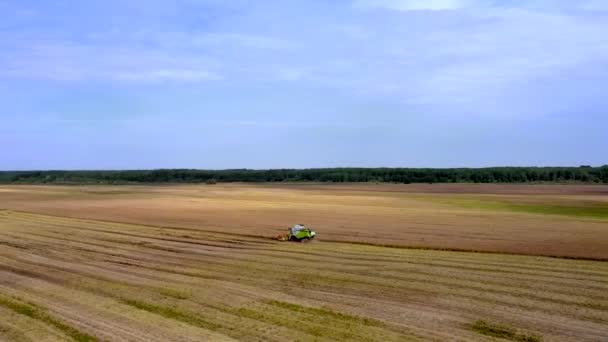 Weizenernte Sommer Zwei Erntehelfer Bei Der Feldarbeit Mähdrescher Landwirtschaftliche Maschine — Stockvideo