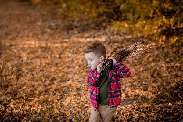 Kleiner Junge Spaziert Herbst Der Natur Ein Vorschulkind Herbstpark Gelben — Stockfoto