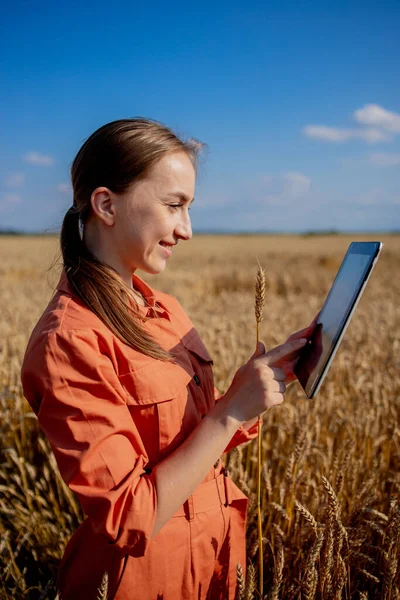 Γυναίκα Καυκάσιος Τεχνολόγος Γεωπόνος Tablet Υπολογιστή Στον Τομέα Του Σιταριού — Φωτογραφία Αρχείου
