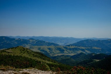 Sabah güneşli bir gün dağ manzarasında. Carpathian, Ukrayna, Avrupa. Güzellik dünyası. Büyük çözünürlük.