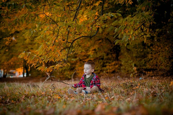 Маленький мальчик гуляет на природе осенью, дошкольник в осеннем парке в желтых листьях — стоковое фото
