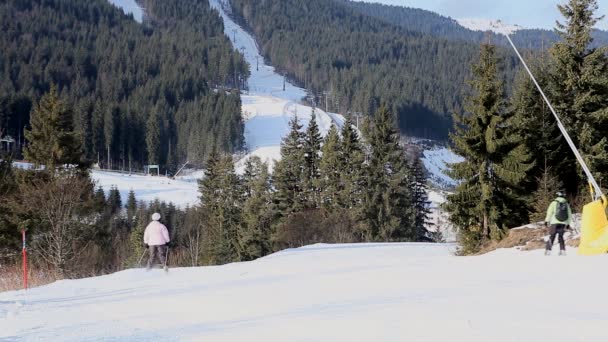 Ung Vuxen Fritids Skidåkare Njuter Idylliskt Perfekt Väder Kall Vinter — Stockvideo