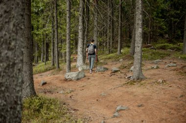 Turizm faaliyeti yaşam tarzı konsept görüntüsü sırt çantalı erkek görüntüsü kasvetli çam ormanları doğasında turistik bir şekilde geri çekiliyor..