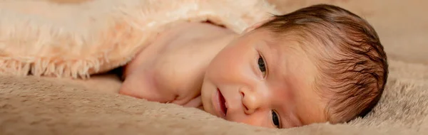 Bebê Recém Nascido Dormindo Descansando Suas Próprias Mãos Cotovelos Sobre — Fotografia de Stock