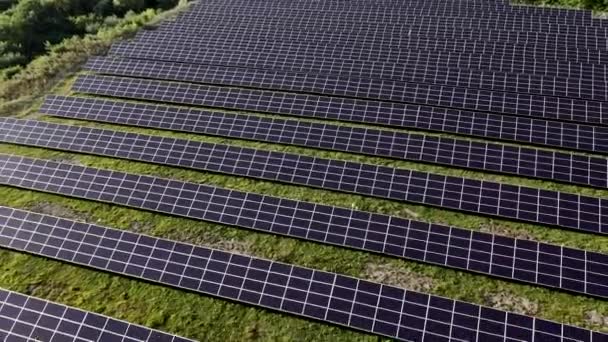 Solar Power Station Green Field Sunny Day Aerial View Solar — Stock Video