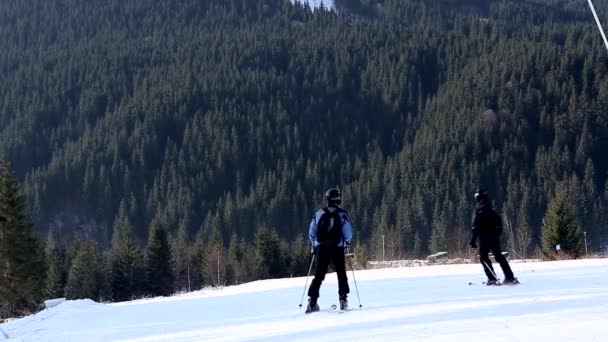 Jovem Esquiador Recreativo Adulto Goza Clima Idílico Perfeito Inverno Frio — Vídeo de Stock