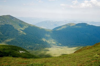 Karpatlar 'ın yaz sabahı dağlık arazisi. Vahşi bakire Ukrayna doğasının güzelliği. Huzur.