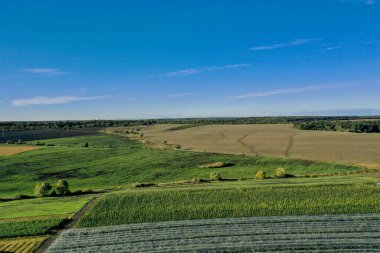 Elma bahçesindeki plastik seranın havadan görünüşü. Organik çiftçilikte bitki yetiştirme
