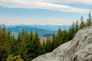 Resimli Karpat Dağları 'nın panoramik manzarası. Orman yamaçları, dağ sıraları ve zirveleri var. Dağlarda tatiller. Karpat dağlarındaki dağdan el yazısıyla yazılmış taşa bak..