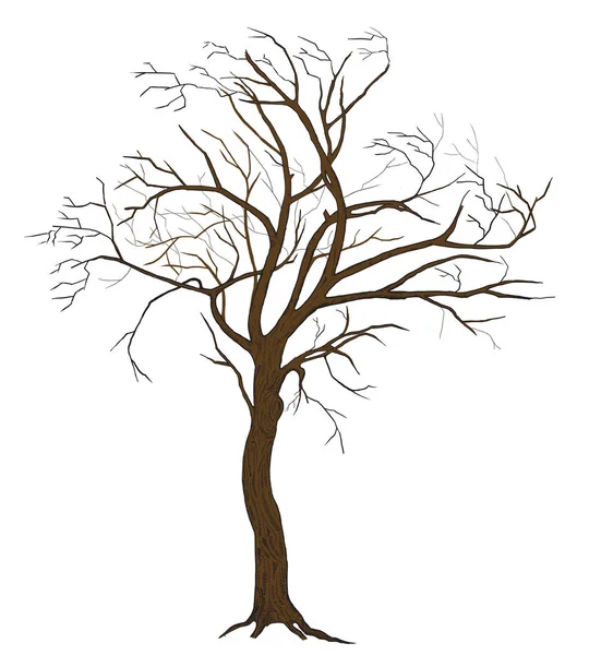 Isolated vector tree illustration with detailed drawing bark for large wide-format printing — Stock Vector