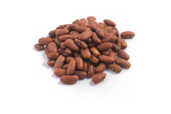 Feijao Manteiga Brazian Brown Bean Isolated White Background — Stock Photo, Image