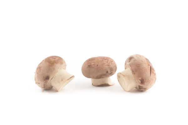 Champignons Frais Dans Bol Isolé Sur Fond Blanc — Photo