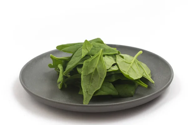 Épinards Brésiliens Dans Une Assiette Spinacia Oleracea Sur Fond Blanc — Photo