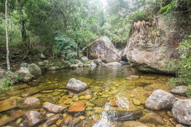 Şelale ve Serra dos Orgaos Park nehirde. Petropolis - Rio de Janeiro - Brezilya. Brezilya orman