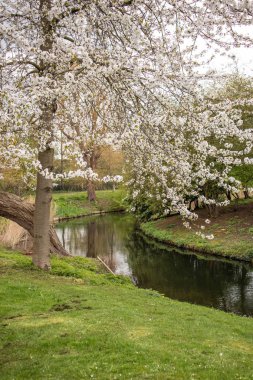 Regent's park Londra
