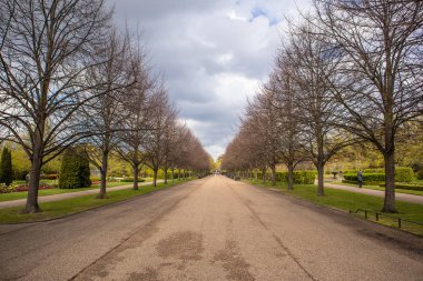 Regent's park Londra