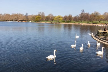 Hyde Park, Londra, İngiltere