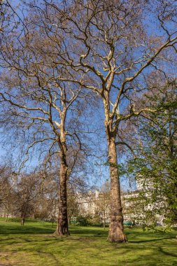 Hyde Park, Londra, İngiltere