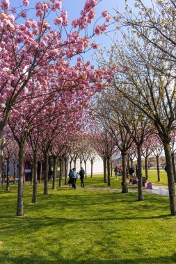 Amsterdam, Hollanda - 13 Nisan 2019: Amsteda Müzeler Parkı