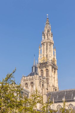 Anvers, Belçika - 7 Nisan 2019: Our Lady Katedrali (Dut
