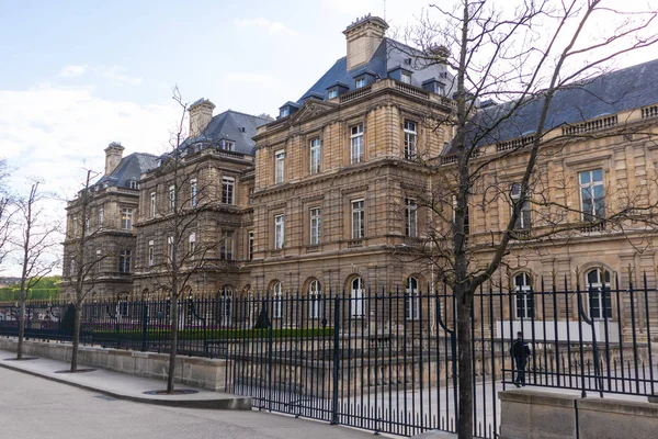 París, Francia - 9 DE ABRIL DE 2019: Jardín de Luxemburgo. Tulipán hermoso — Foto de Stock