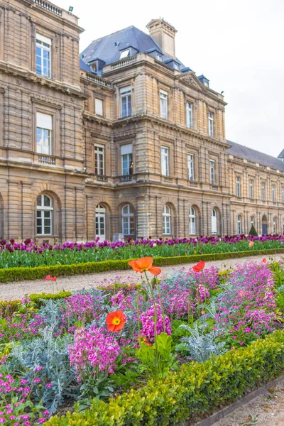 París, Francia - 9 DE ABRIL DE 2019: Jardín de Luxemburgo. Tulipán hermoso — Foto de Stock