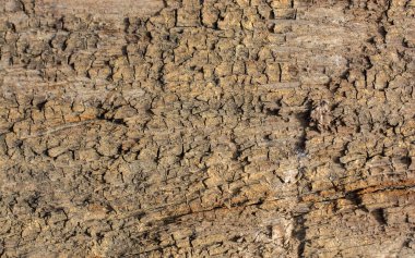 Katı bir arkaplan dokusu olarak ahşap yüzey