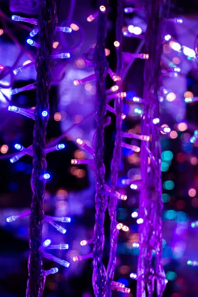 Christmas Lights Party Lights Certain Type — Stock Photo, Image