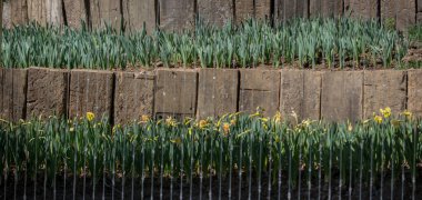 Görünüşte ahşaptan yapılmış bir çit parçası