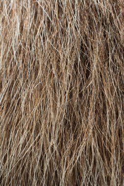 Arka plan dokusu olarak dekoratif hayvan kürkü