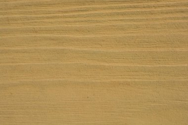 Arkaplan olarak eski ahşap bir dalışın doku ayrıntıları